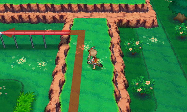 Using the Acro Bike to cross the bridge / Pokémon Omega Ruby and Alpha Sapphire