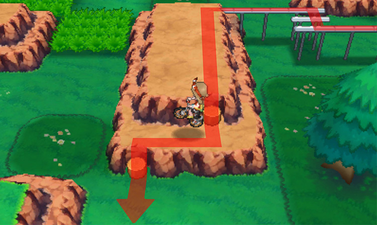 Going down the stumps using your Acro Bike / Pokémon Omega Ruby and Alpha Sapphire