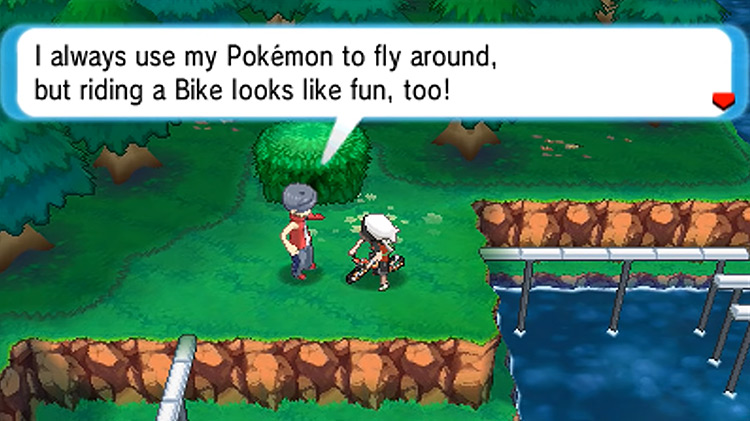 Talking to the Bird Keeper on Route 119 / Pokémon Omega Ruby and Alpha Sapphire