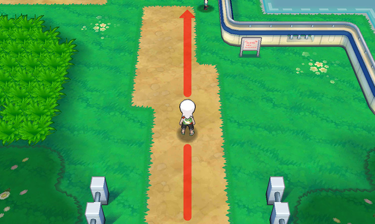 Following the dirt path on Route 110. / Pokémon Omega Ruby and Alpha Sapphire