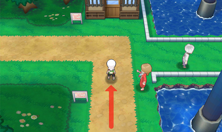 The dirt path continues to the left, towards Route 103. Stop at this junction. / Pokémon Omega Ruby and Alpha Sapphire