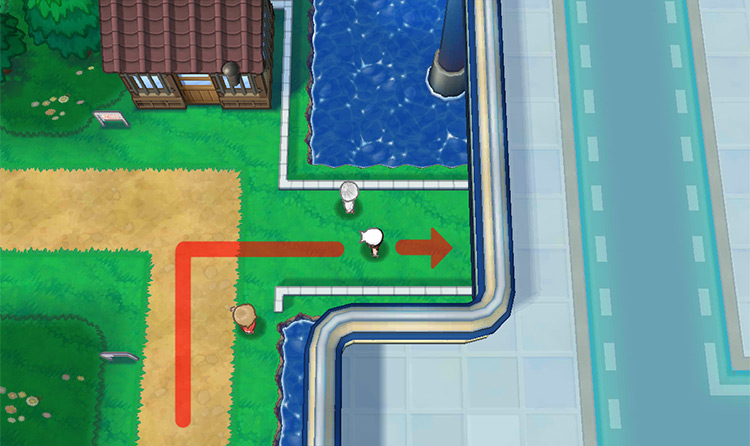 Turning right and moving away from the dirt path on Route 110. / Pokémon Omega Ruby and Alpha Sapphire