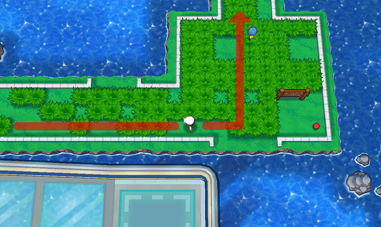 Grass patches on the east side of Route 110. / Pokémon Omega Ruby and Alpha Sapphire