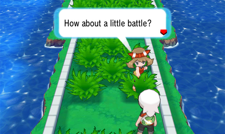 Battling your rival in Route 110. / Pokémon Omega Ruby and Alpha Sapphire
