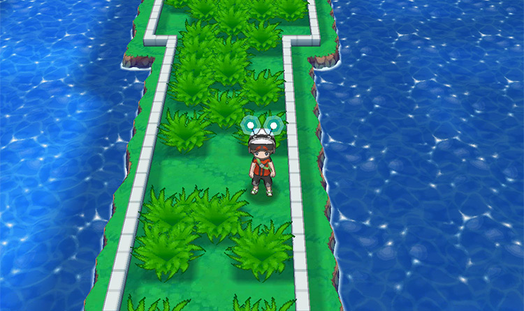 The Dowsing Machine turns blue, indicating there is an invisible item nearby. / Pokémon Omega Ruby and Alpha Sapphire