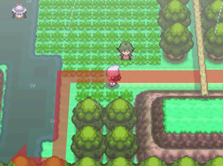 Taking the southern path to avoid getting stuck / Pokémon Platinum