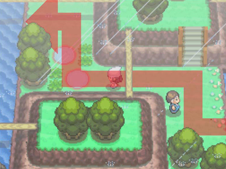 Cutting westward across the terrain to reach the water on the other side / Pokémon Platinum