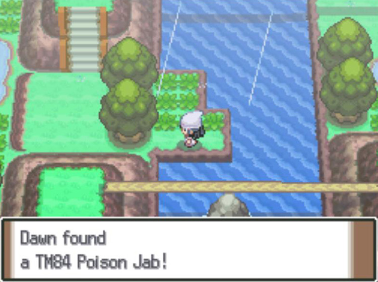 Acquiring TM84 Poison Jab on Route 212 / Pokémon Platinum