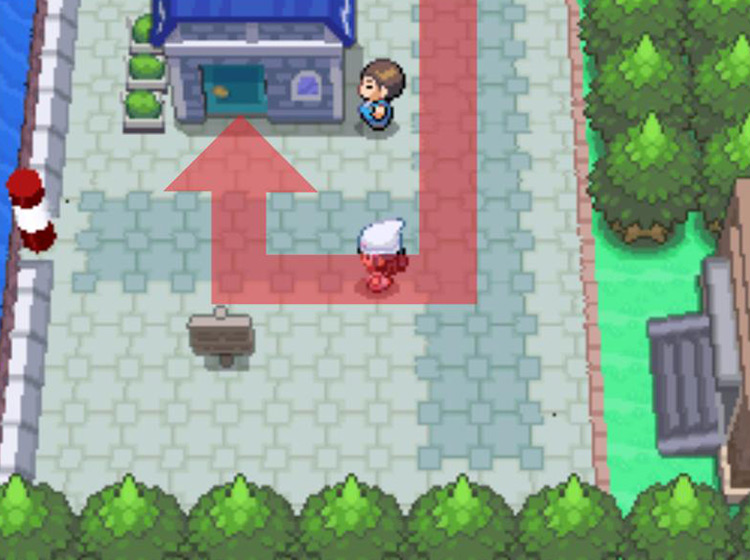 Entering the second blue-roofed house to the south / Pokémon Platinum