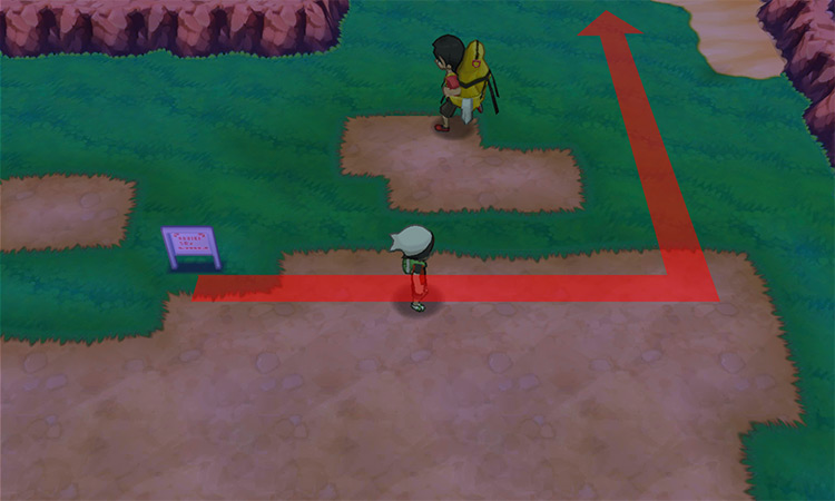 At the Route 111 signpost. / Pokémon Omega Ruby and Alpha Sapphire