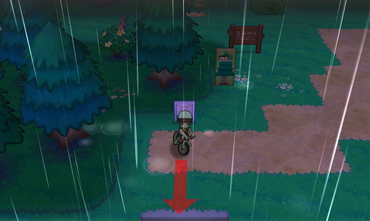 Route 119 signpost (raining). / Pokémon Omega Ruby and Alpha Sapphire