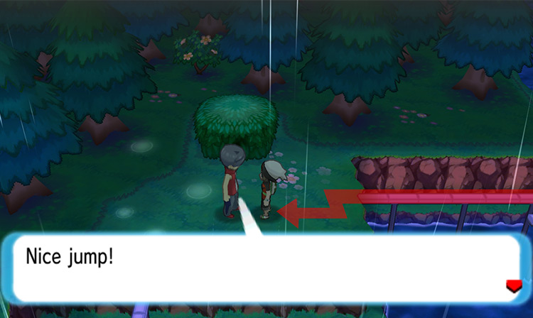Speaking to the Bird Keeper on Route 119. / Pokémon Omega Ruby and Alpha Sapphire