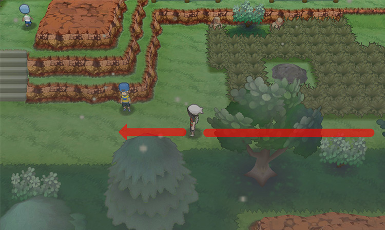 Walking on Route 113 before challenging Youngster Neal. / Pokémon Omega Ruby and Alpha Sapphire