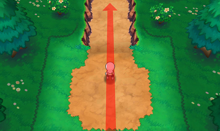 Entering the Gnarled Den. / Pokémon Omega Ruby and Alpha Sapphire