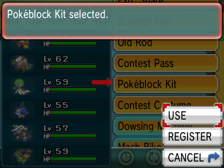 Selecting the Pokéblock Kit in the bag. / Pokémon Omega Ruby and Alpha Sapphire