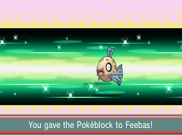 Feeding Feebas a Rainbow Pokéblock. / Pokémon Omega Ruby and Alpha Sapphire