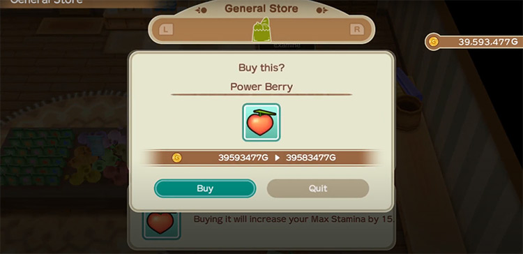 The farmer buys a Power Berry from the General Store. Source / Story of Seasons: Friends of Mineral Town