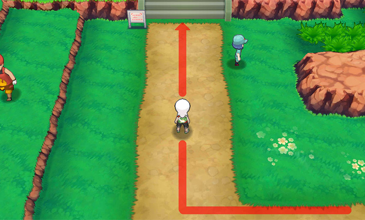 Walking along the dirt path on Route 112. / Pokémon Omega Ruby and Alpha Sapphire