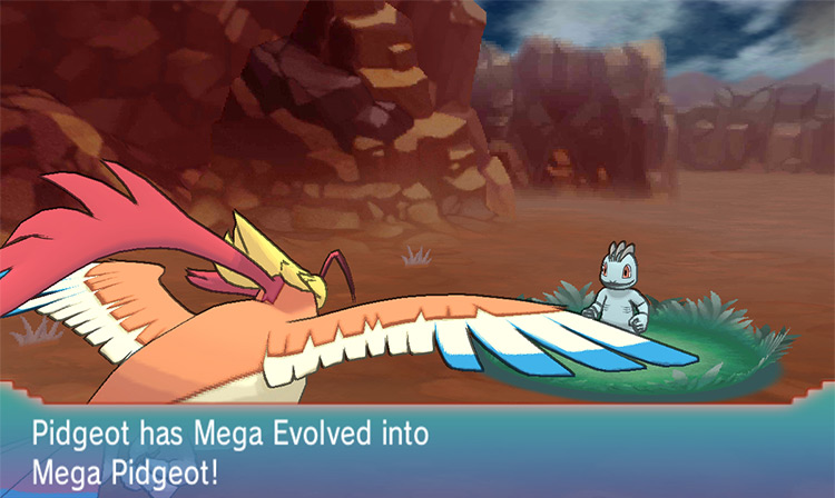 Mega evolving a Pidgeot. / Pokémon Omega Ruby and Alpha Sapphire