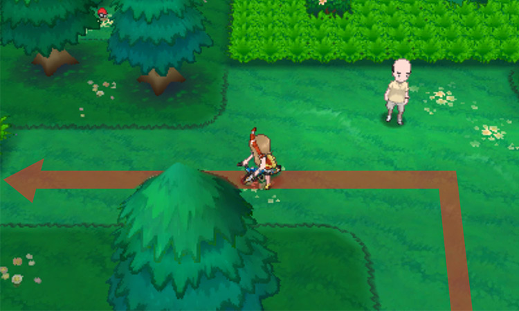Biking inside the Safari Zone / Pokémon Omega Ruby and Alpha Sapphire