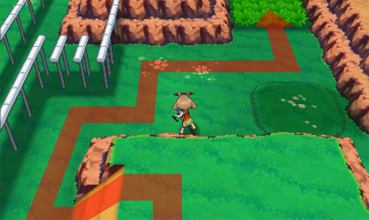 Exploring further inside the Safari Zone / Pokémon Omega Ruby and Alpha Sapphire