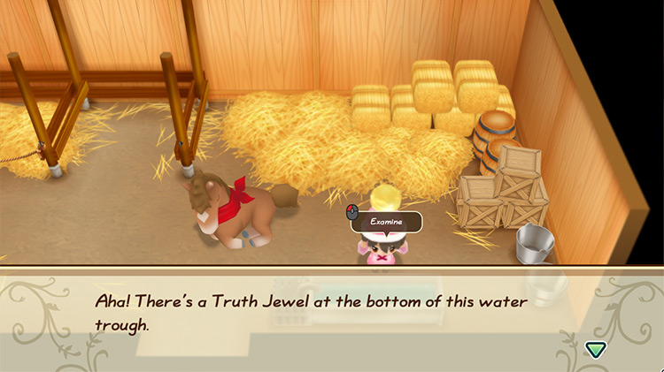 The farmer stands beside the water trough in the stable. / Story of Seasons: Friends of Mineral Town