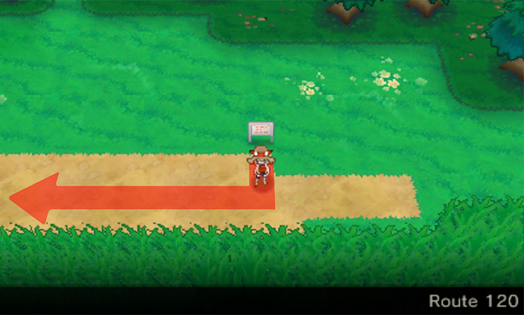 Route 120 sign / Pokémon Omega Ruby and Alpha Sapphire