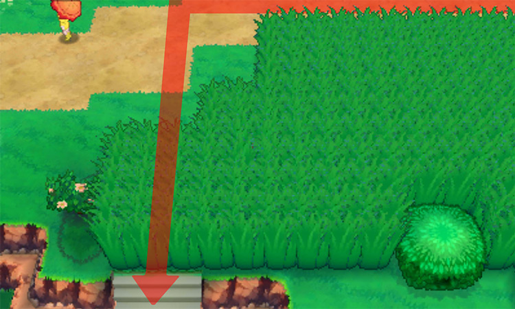 Walking inside the tall grass to go down the steps on Route 120 / Pokémon Omega Ruby and Alpha Sapphire