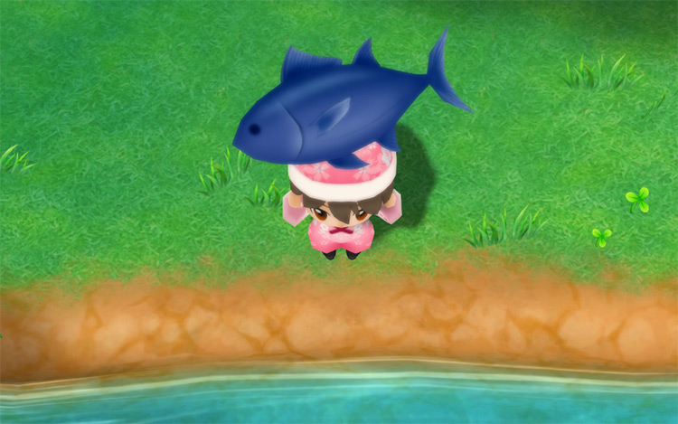 The farmer catches a Large Fish in the river. / Story of Seasons: Friends of Mineral Town