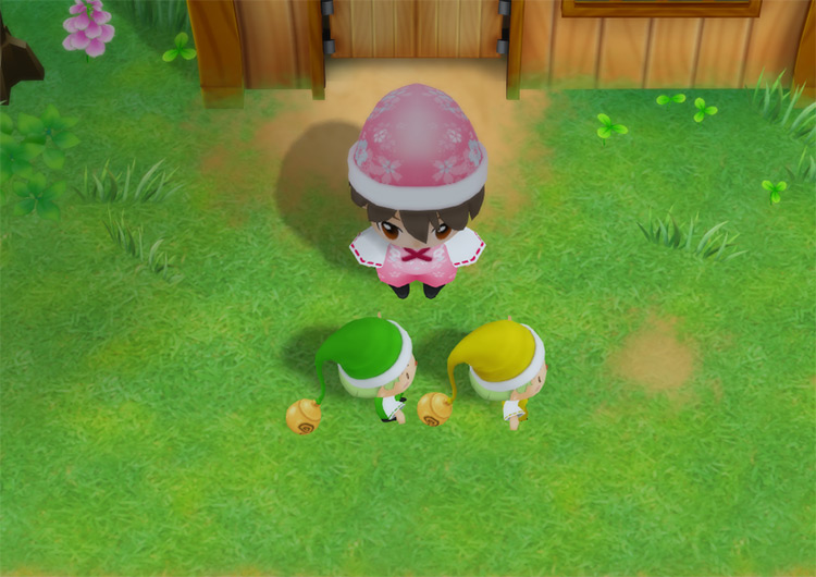The farmer employs the Nature Sprites on the farm. / Story of Seasons: Friends of Mineral Town