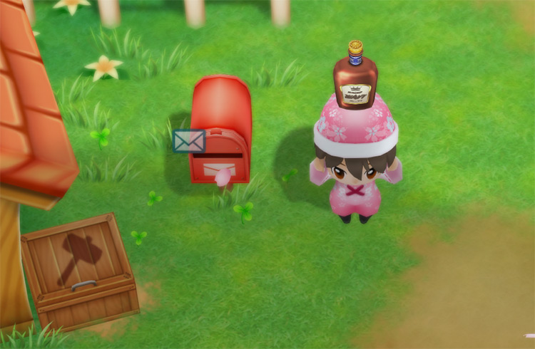 The farmer receives a Van’s Favorite in the mail. / Story of Seasons: Friends of Mineral Town