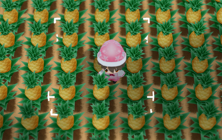 The farmer stands in the middle of a field of crops. / Story of Seasons: Friends of Mineral Town