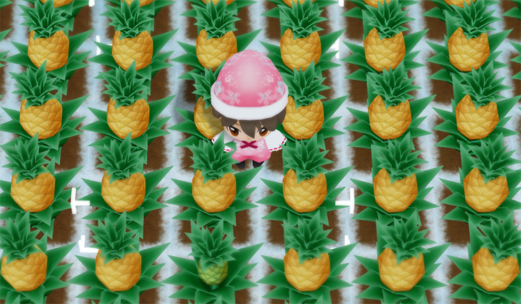 The farmer stands in the middle of a Pineapple field in Winter. / Story of Seasons: Friends of Mineral Town