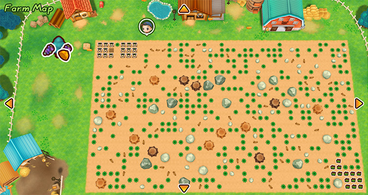 Map of the farm with debris in the field. / Story of Seasons: Friends of Mineral Town
