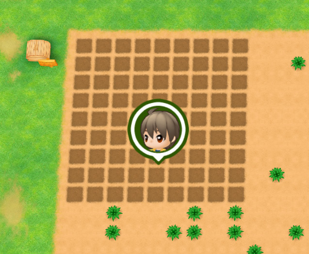 The farmer creates a 9x9 field on the farm. / Story of Seasons: Friends of Mineral Town