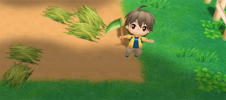 The farmer harvests Fodder from wild grass. / Story of Seasons: Friends of Mineral Town