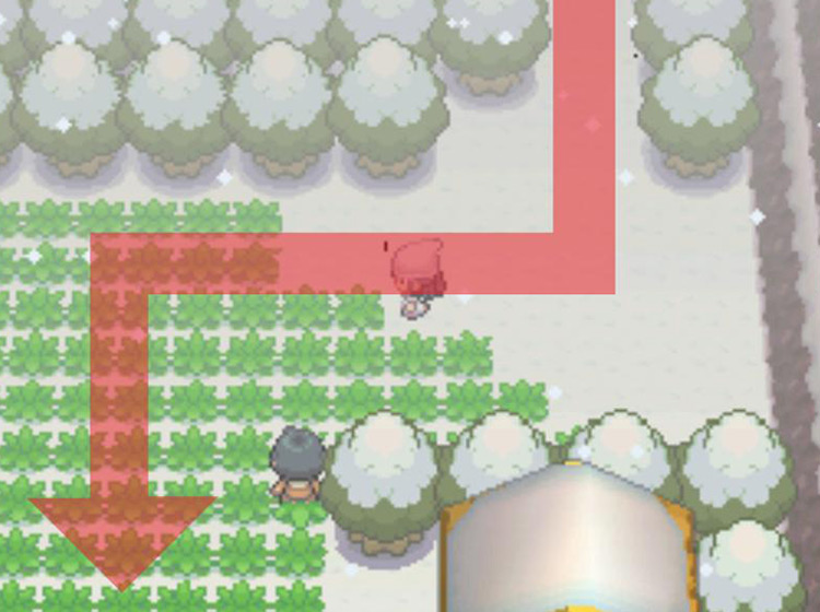 Entering Route 216 from the north / Pokémon Platinum