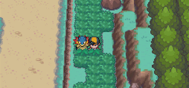 Standing in tall grass on Route 35 (Pokémon HeartGold)