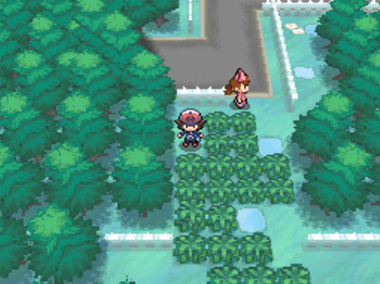 The tall grass outside of Pinwheel Forest where Sawk and Throh can be encountered. / Pokémon Black and White