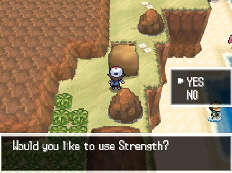 Use Strength to push this boulder / Pokémon Black & White