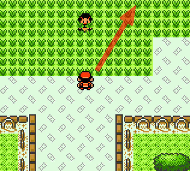 Reaching the grassy area of the park / Pokémon Crystal