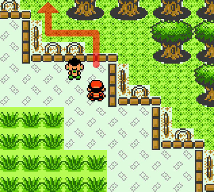 In front of the hole in the fence / Pokémon Crystal