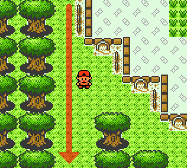 In the area with big trees, behind the park fence / Pokémon Crystal
