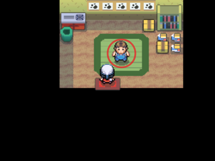 Identifying Dr. Footstep inside his house / Pokémon Platinum