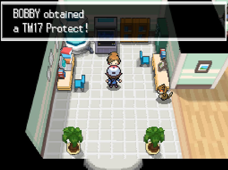 Professor Juniper giving us TM17 Protect. / Pokemon BW