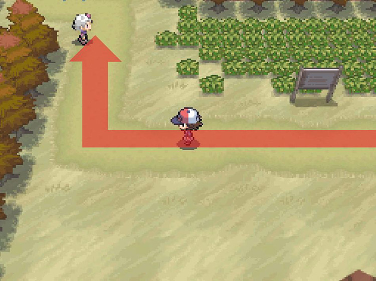 Turn north after the Trainer Tip sign. / Pokemon BW