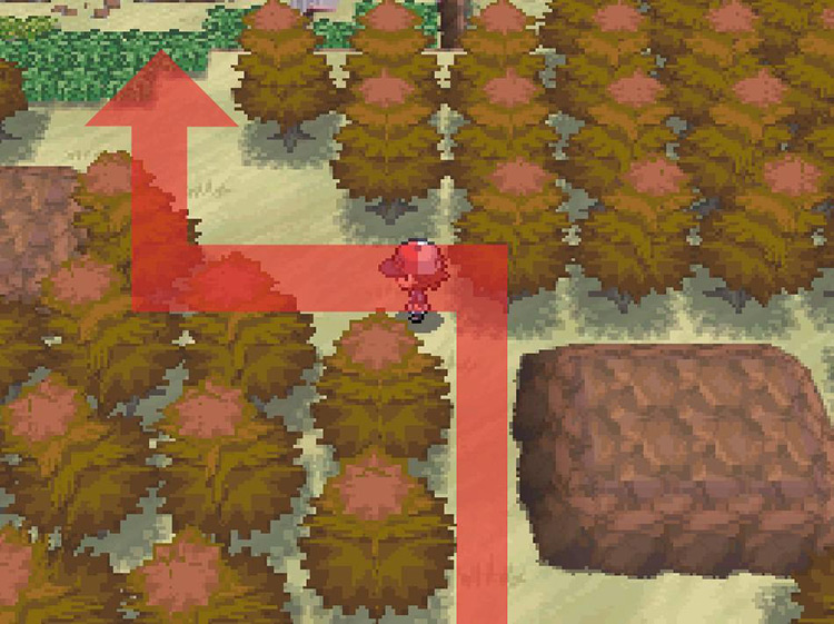 Keep north in-between the trees. / Pokemon BW