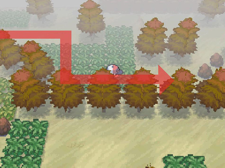 Continue east towards the small rocks. / Pokemon BW