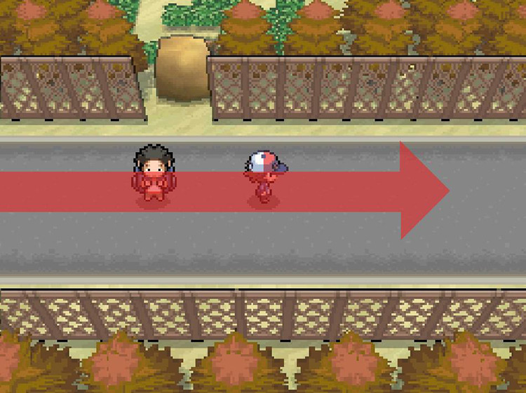 Continue east past the large boulder. / Pokemon BW