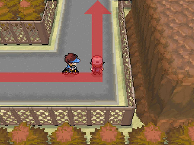 Take your first available turn north. / Pokemon BW